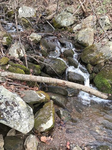 Picture 23 of Dripping Rock and Rockfish Gap Hike 112420