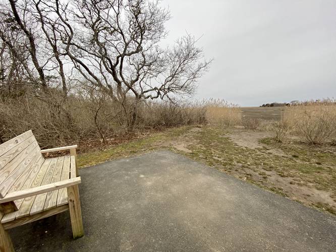 Bench with a view of the Quivett Creek marshes