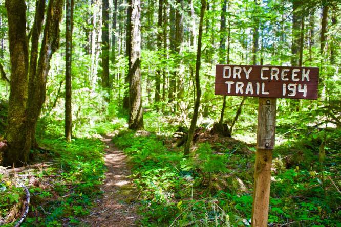 Dry Creek Trail - Dry Creek  album