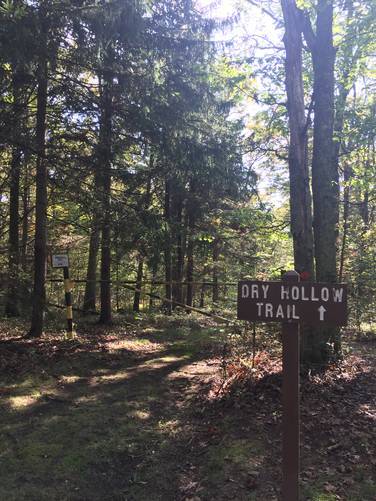  Dry Hollow Trail trailhead 