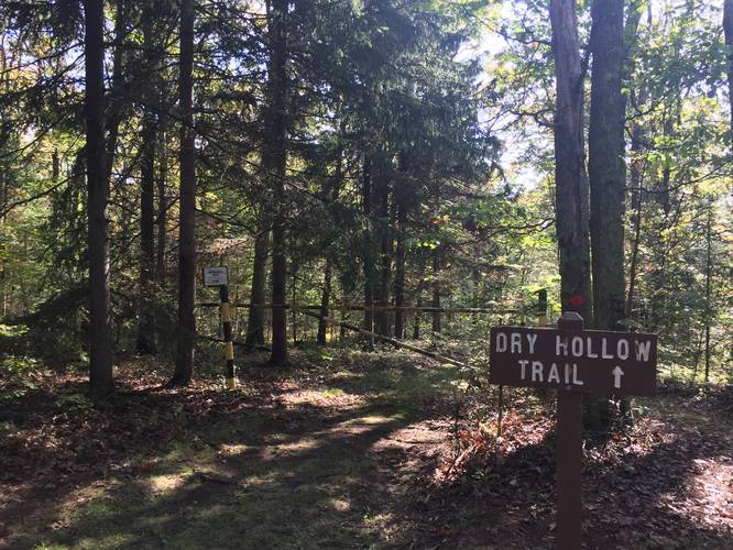 Dry Hollow Trail - Dry Hollow Trail album