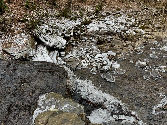 View from the top of Dry Run Falls