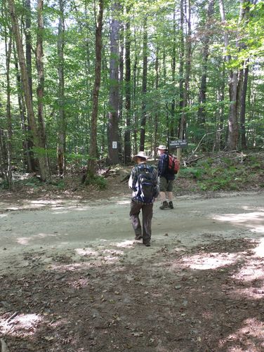 Start of the hike crosses Old Troy Rd