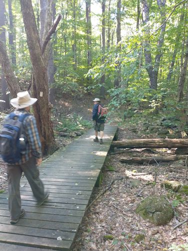 Boardwalk along the trail