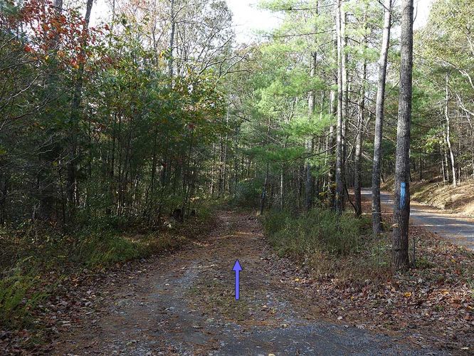 Picture 17 of Duncan Knob Hike 102216
