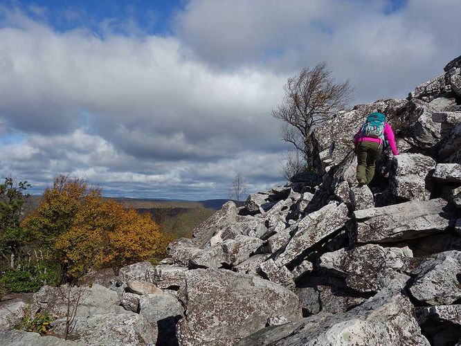 Picture 7 of Duncan Knob Hike 102216