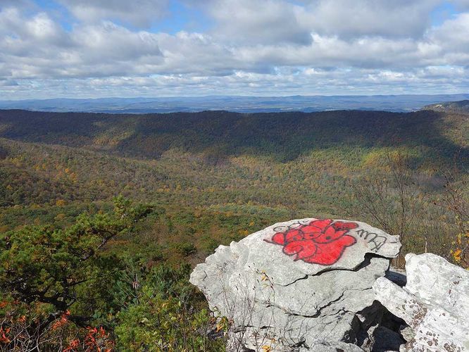 Picture 3 of Duncan Knob Hike 102216
