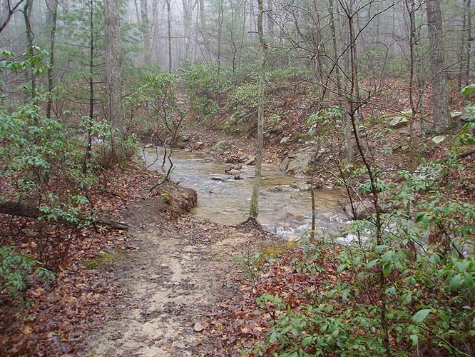 Picture 21 of Duncan Knob Hollow Hike 032407