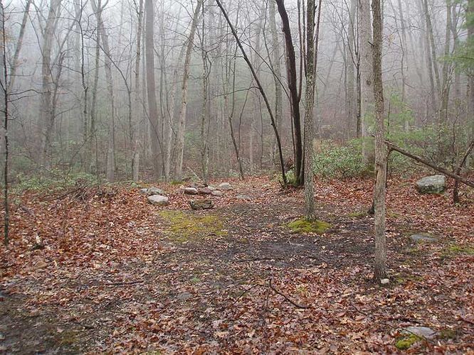 Picture 23 of Duncan Knob Hollow Hike 032407