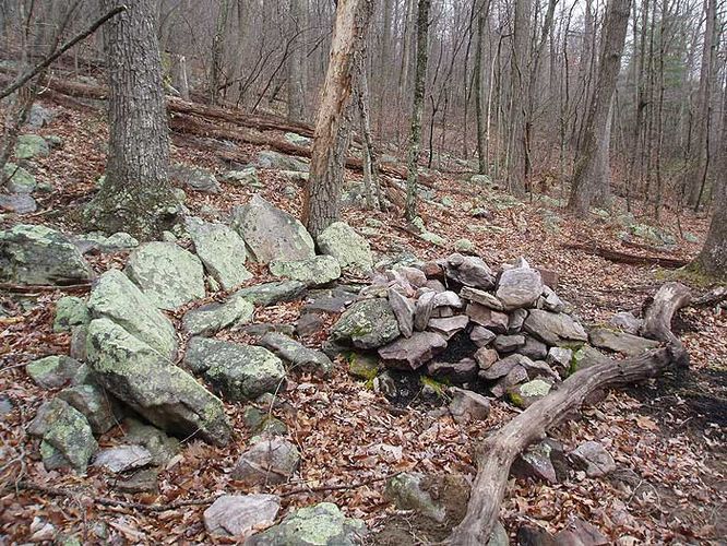 Picture 18 of Duncan Knob Hollow Hike 032407