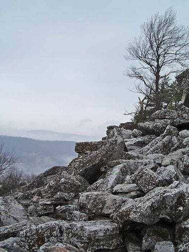 Picture 10 of Duncan Knob Hollow Hike 032407