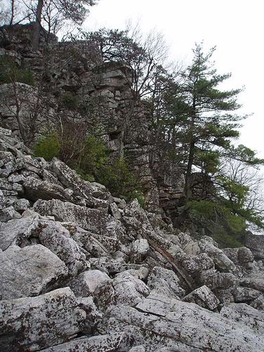 Picture 11 of Duncan Knob Hollow Hike 032407