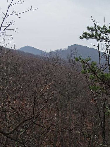 Picture 4 of Duncan Knob Hollow Hike 032407