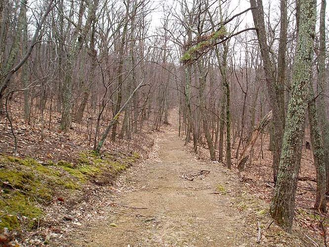 Picture 6 of Duncan Knob Hollow Hike 032407
