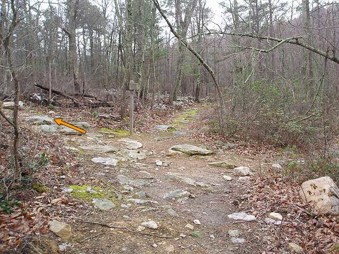 Picture 2 of Duncan Knob Hollow Hike 032407