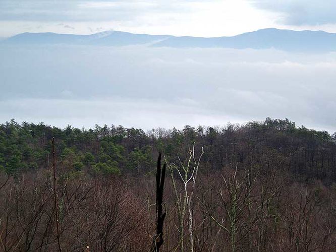 Default image for Duncan Knob Hollow Hike, a 12.2-mile trail in Luray, VA (US)