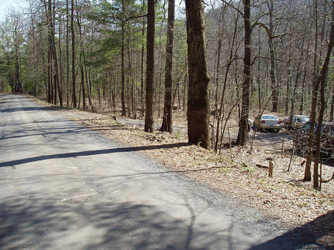 Picture 10 of Duncan Knob via Scothorn Gap 041203