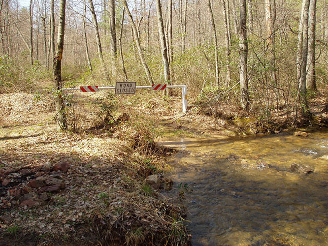 Picture 15 of Duncan Knob via Scothorn Gap 041203