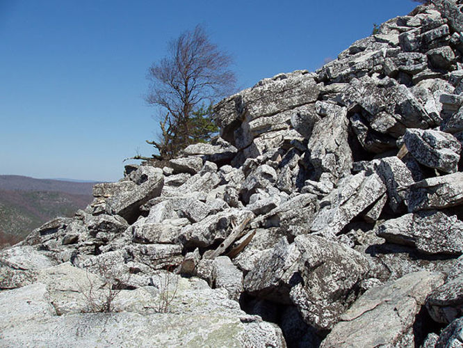 Picture 8 of Duncan Knob via Scothorn Gap 041203