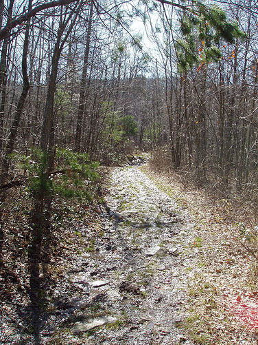 Picture 11 of Duncan Knob via Scothorn Gap 041203