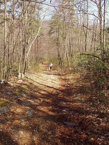 Picture 1 of Duncan Knob via Scothorn Gap 041203