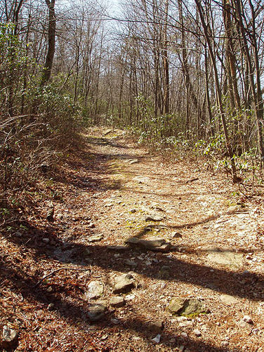Picture 14 of Duncan Knob via Scothorn Gap 041203