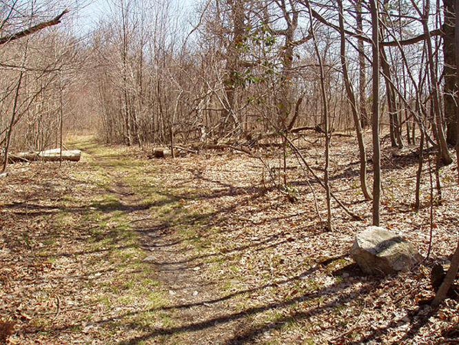 Picture 6 of Duncan Knob via Scothorn Gap 041203