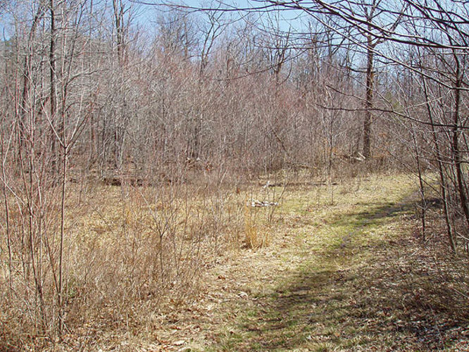 Picture 7 of Duncan Knob via Scothorn Gap 041203