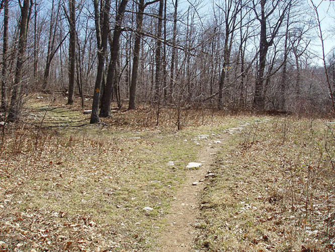 Picture 16 of Duncan Knob via Scothorn Gap 041203