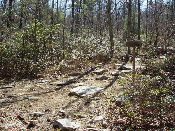 Picture 20 of Duncan Knob via Scothorn Gap 041203