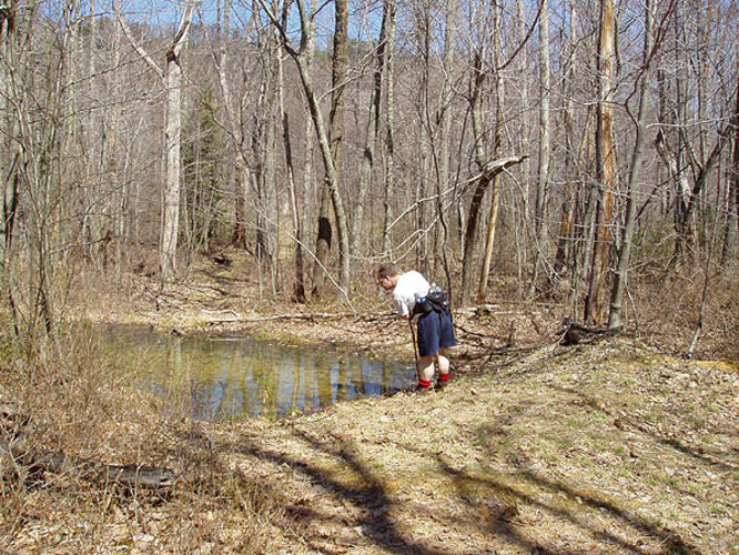 Picture 22 of Duncan Knob via Scothorn Gap 041203