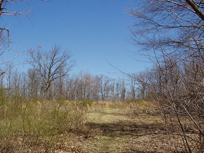 Picture 23 of Duncan Knob via Scothorn Gap 041203