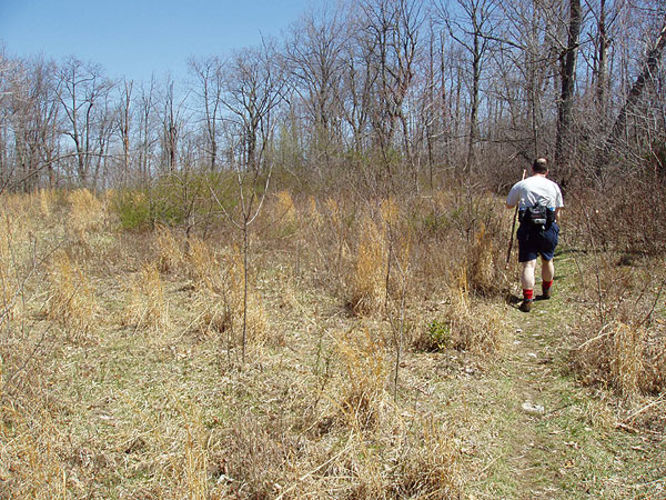 Picture 25 of Duncan Knob via Scothorn Gap 041203