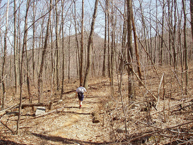 Picture 26 of Duncan Knob via Scothorn Gap 041203