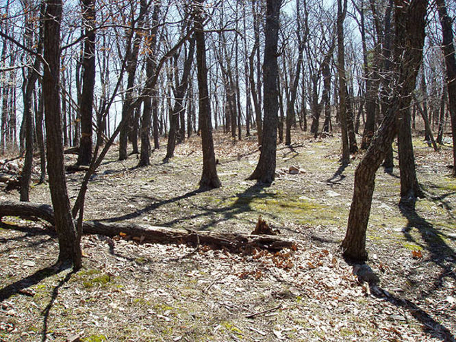 Picture 29 of Duncan Knob via Scothorn Gap 041203