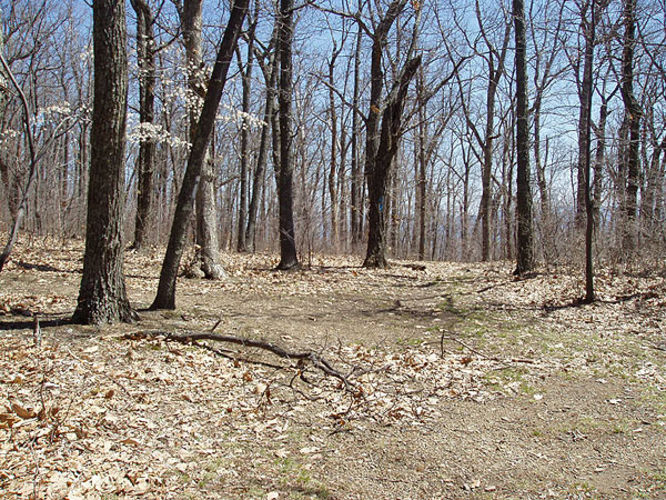 Picture 30 of Duncan Knob via Scothorn Gap 041203