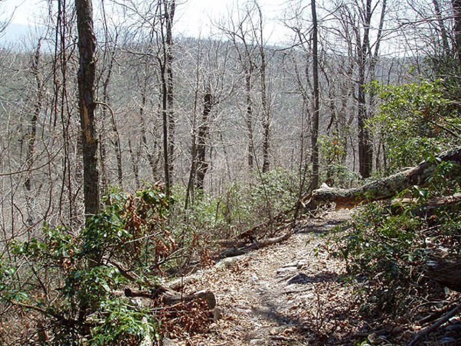 Picture 34 of Duncan Knob via Scothorn Gap 041203