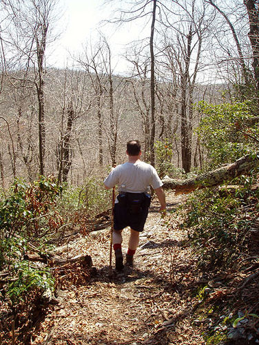 Picture 35 of Duncan Knob via Scothorn Gap 041203