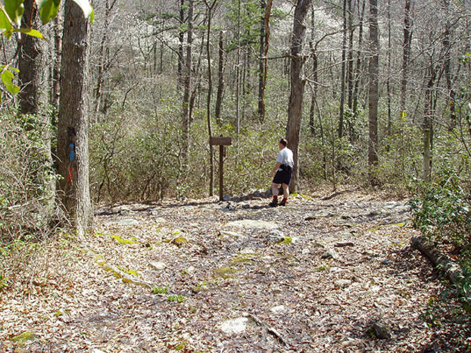 Picture 36 of Duncan Knob via Scothorn Gap 041203