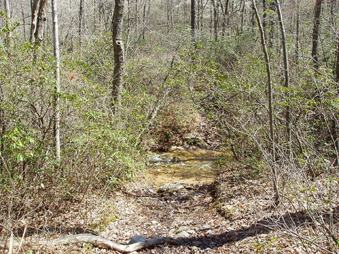 Picture 37 of Duncan Knob via Scothorn Gap 041203