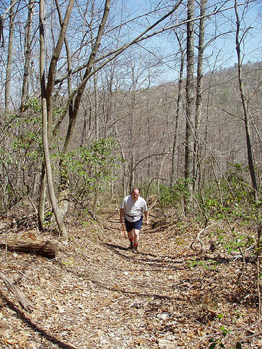 Picture 38 of Duncan Knob via Scothorn Gap 041203
