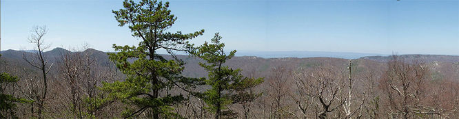 Picture 39 of Duncan Knob via Scothorn Gap 041203