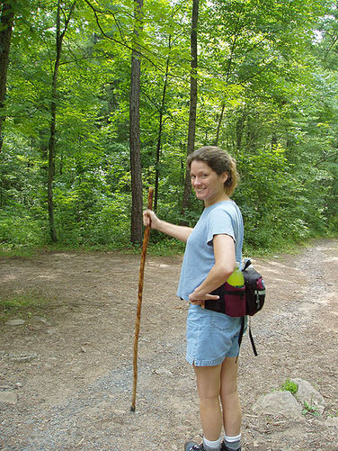 Picture 6 of Duncan Knob via Scotorn Gap 071704