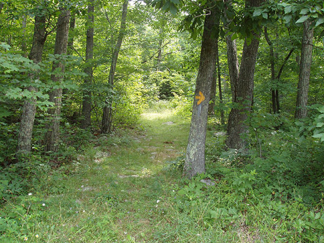 Picture 4 of Duncan Knob via Scotorn Gap 071704
