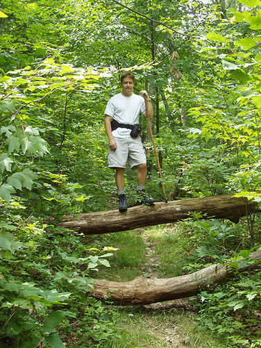 Picture 5 of Duncan Knob via Scotorn Gap 071704