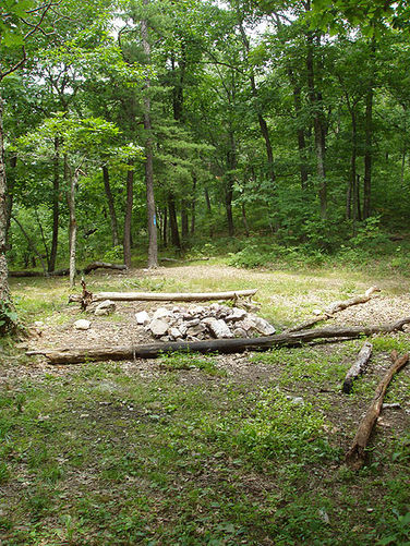 Picture 7 of Duncan Knob via Scotorn Gap 071704
