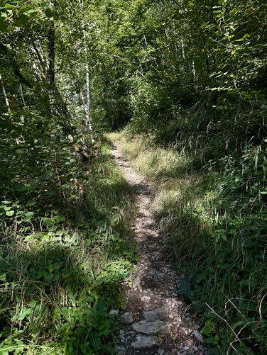 Trail leads up a short but steep path to Dundelbach Falls