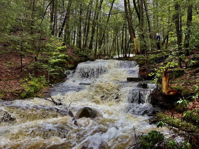 Default image for Dunlop Brook Falls, a 0.4-mile trail in Pelham, MA (US)