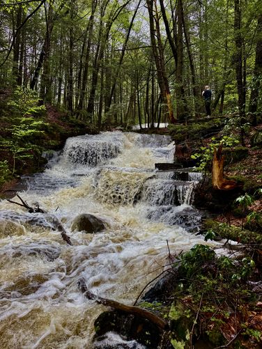 Portrait view of Lower Dunlop Brook Falls