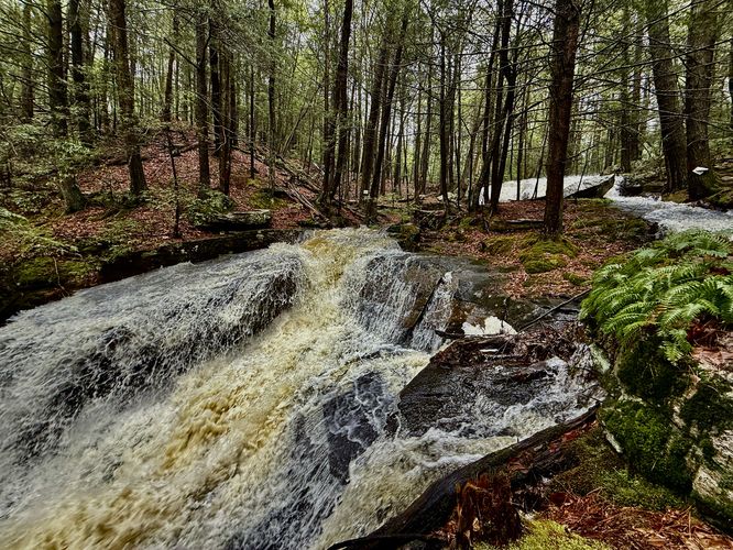 Picture 6 of Dunlop Brook Falls